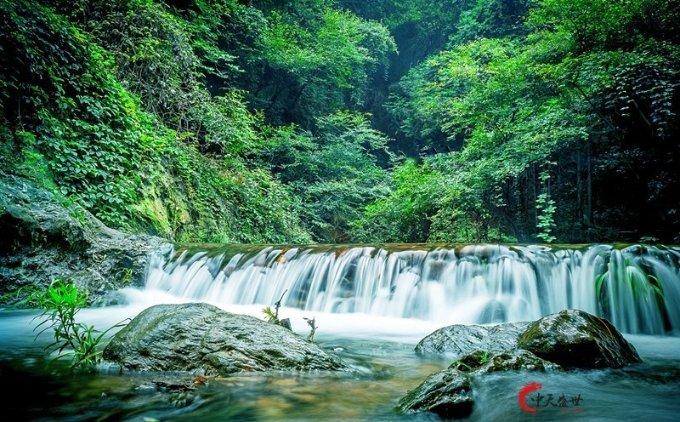 虫虫助手下载