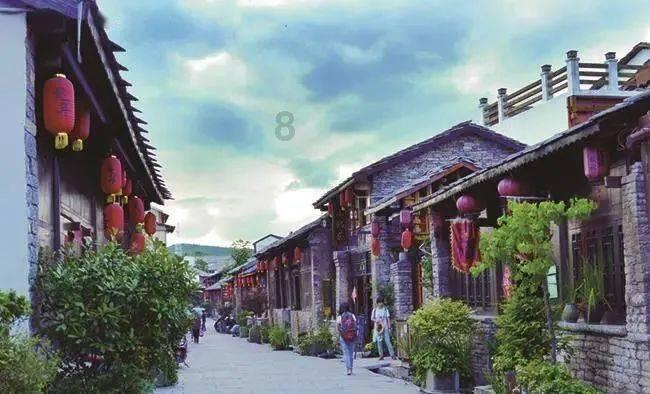 动物帮帮忙保卫家园