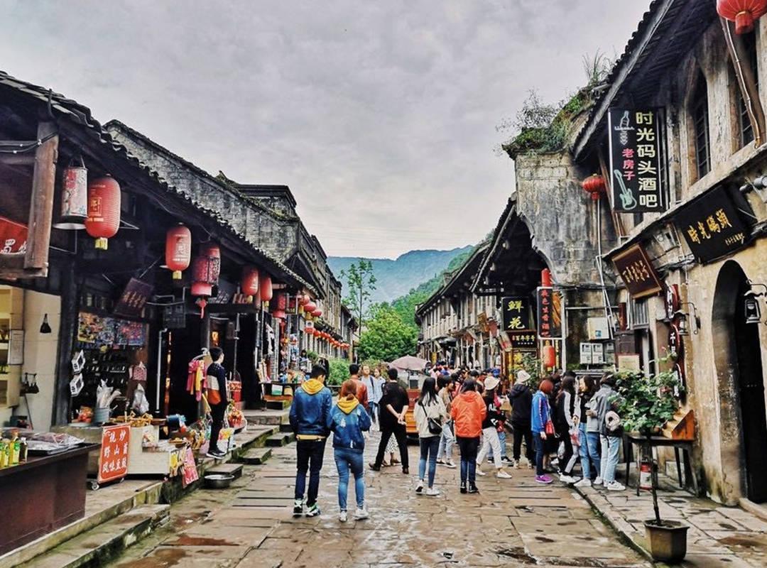 动物帮帮忙保卫家园