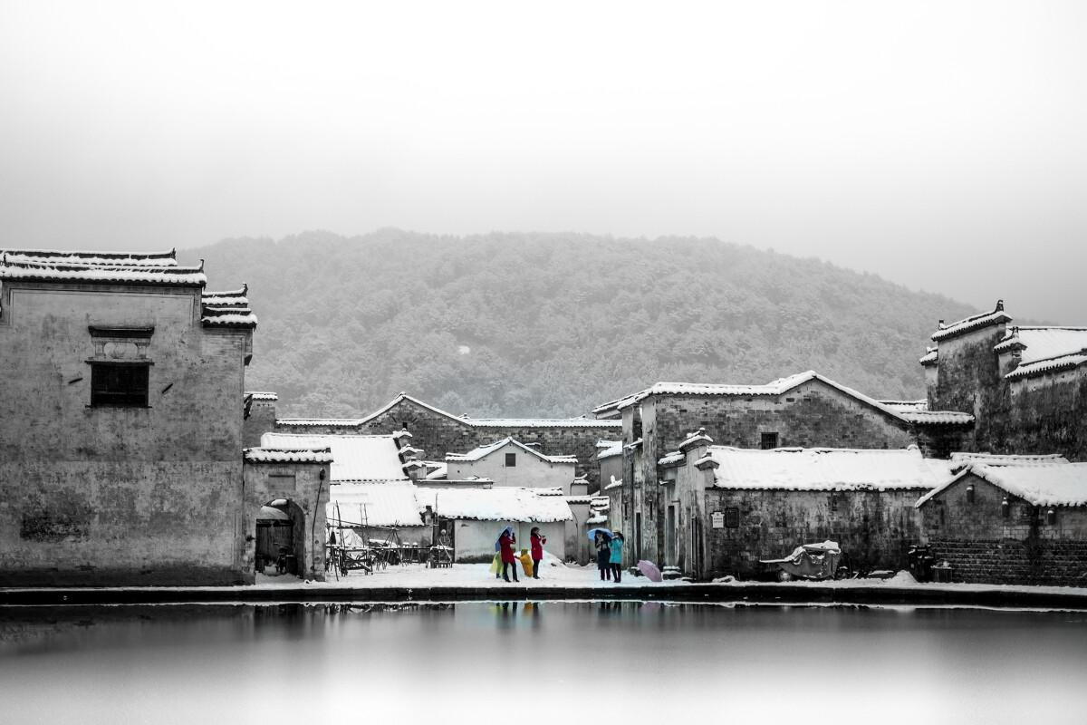 动物帮帮忙保卫家园