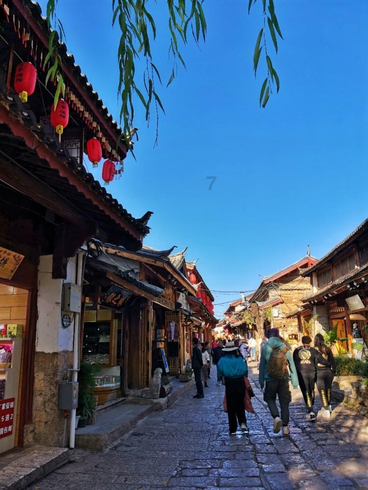 动物帮帮忙保卫家园