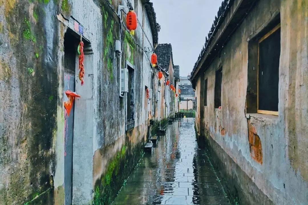 春雨直播app