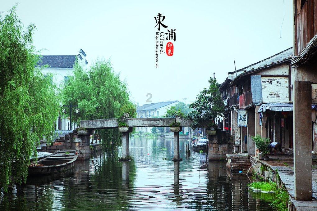 实现新优品种的规模化市场优势和品种品牌优势