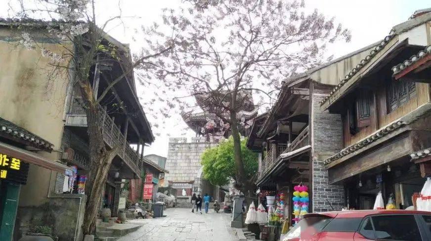月光影视