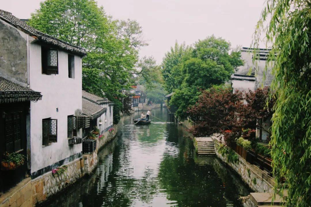 春雨直播app