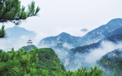 动物帮帮忙保卫家园