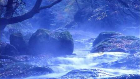 沪江开心词场