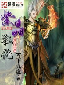小猫钓鱼正版下载中文版