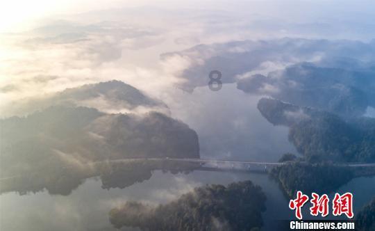 高淳地方文化研究会开展“新春赠书，书香润年”活动